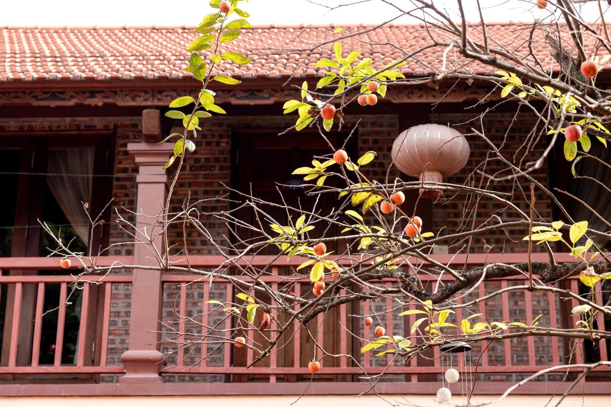 Tam Coc Ngoc Linh Bungalow נין בין מראה חיצוני תמונה
